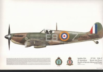 133 SPITFIRE IIA SQN PRINT