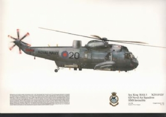 135 SEAKING HAS 5 SQN PRINT