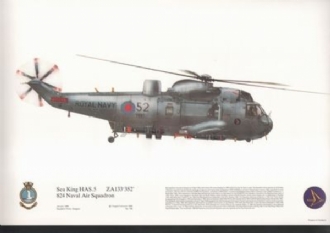 185 SEAKING HAS 5 SQN PRINT