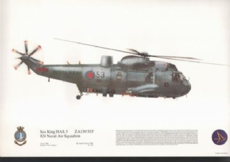 186 SEAKING HAS 5 SQN PRINT