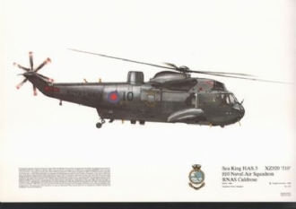 210 SEAKING HAS 5 SQN PRINT