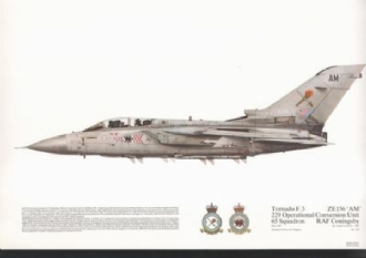 229 TORNADO F 3 SQN PRINT