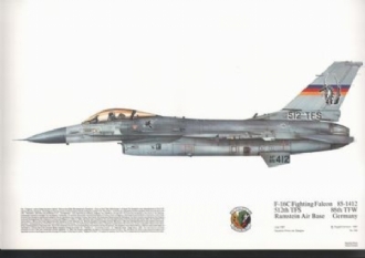 252 F-16C FIGHTING FALCON SQN PRINT