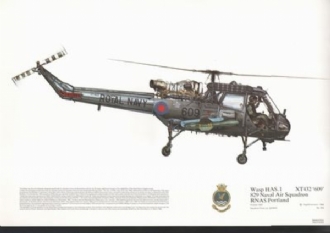 259 WASP HAS 1 SQN PRINT