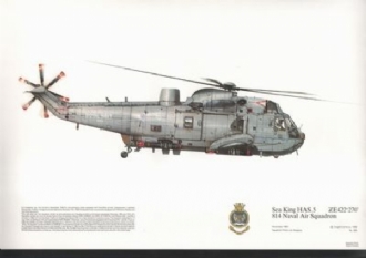 266 SEAKING HAS 5 SQN PRINT