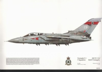 295 TORNADO F-3 SQN PRINT