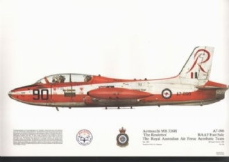 296 AERMACCHI MB326H SQN PRINT