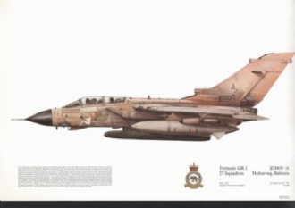 380 TORNADO GR-1 (GULF) SQN PRINT