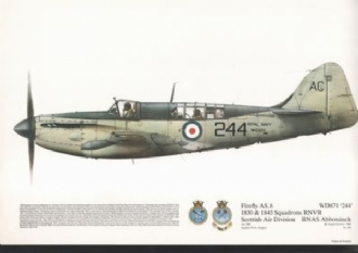 200 FIREFLY AS6 WD871 '244' 1830/1843 SQN RNVR SQN PRINT