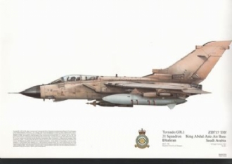 381  -  TORNADO GR-1 SQN PRINT