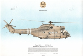 SP19SIG PUMA HC1, XW216 'F' RAF PUMA (ME) SQN SQN PRINT