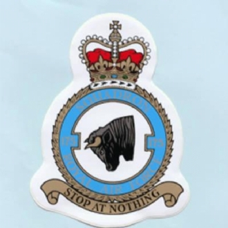 175 SQN CREST QC STICKER