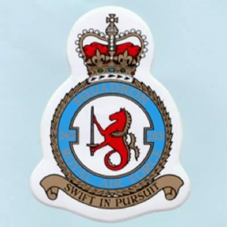 243 SQN CREST STICKER