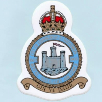 603 SQN CREST STICKER