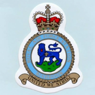 RAF BINBROOK CREST STICKER