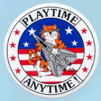 F-14 TOMCAT PLAYTIME ANYTIME STICKER