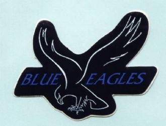 BLUE EAGLES SHAPED STICKER