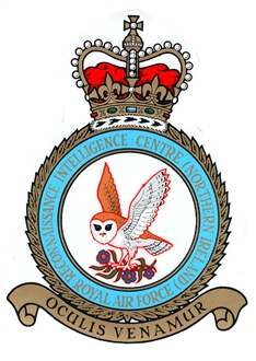 RECONNAISSANCE INTELLIGENCE CENTRE NI CREST STICKER