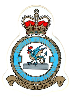 3 SQN CREST  - BLUE