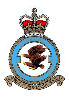 11 SQN CREST STICKER