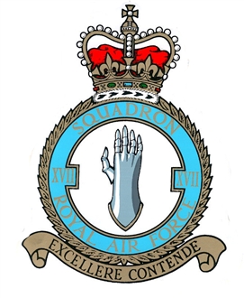 17 SQN CREST STICKER