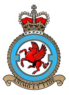 18 SQN CREST STICKER