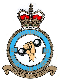 21 SQN CREST STICKER