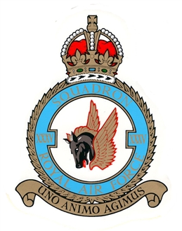 35 SQN CREST (KINGS CROWN) STICKER