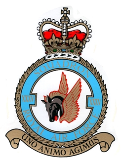 35 SQN CREST (QUEENS CROWN) STICKER