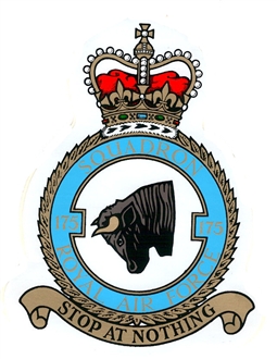 175 SQN CREST KC STICKER