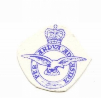 RAF CREST ONE COLOUR THIMBLE