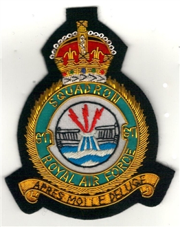 617 SQN (KC) OFFICIAL CREST GOLD WIRE BADGE
