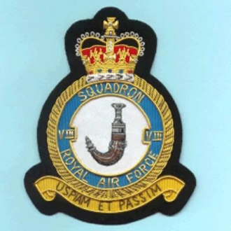 8 SQN CREST GOLD WIRE BADGE 