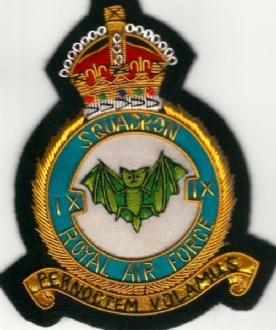 9 SQN CREST KC GOLD WIRE BADGE