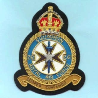 261 SQN CREST GOLD WIRE BADGE