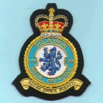 54 SQN CREST GOLD WIRE BADGE