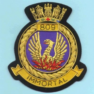 809 NAS CREST GOLD WIRE BADGE