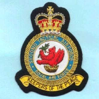 2 TAF CREST GOLD WIRE BADGE