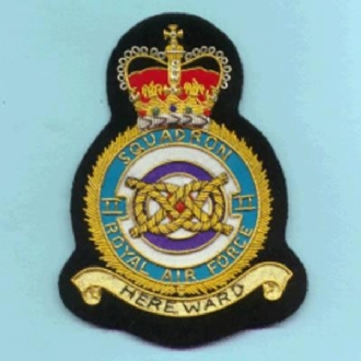 2 SQN CREST GOLD WIRE BADGE