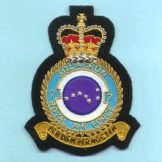 7 SQN CREST GOLD WIRE BADGE