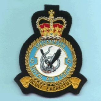 6 SQN CREST GOLD WIRE BADGE