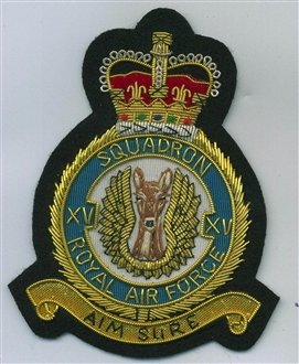 15 SQN CREST GOLD WIRE BADGE