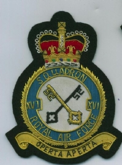 16 SQN CREST GOLD WIRE BADGE