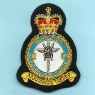 13 SQN CREST GOLD WIRE BADGE