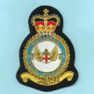 14 SQN CREST GOLD WIRE BADGE