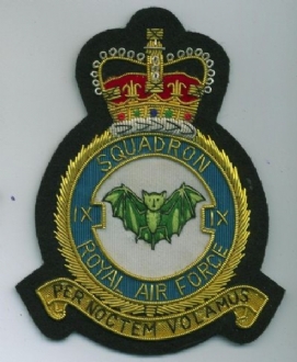 9 SQN CREST GOLD WIRE BADGE