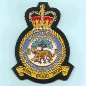 230 SQN CREST GOLD WIRE BADGE