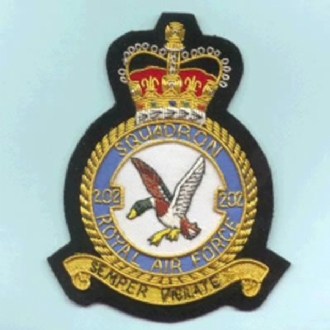 202 SQN CREST GOLD WIRE BADGE