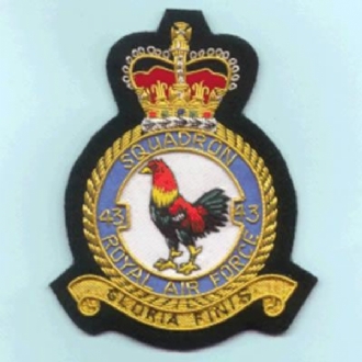 43 SQN CREST GOLD WIRE BADGE