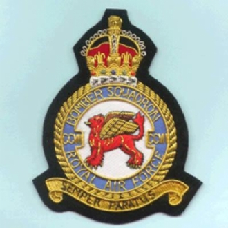 207 SQN CREST GOLD WIRE BADGE